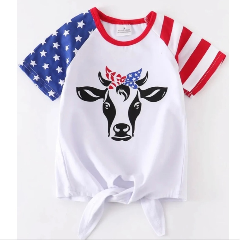 Heifer USA Tee NWT